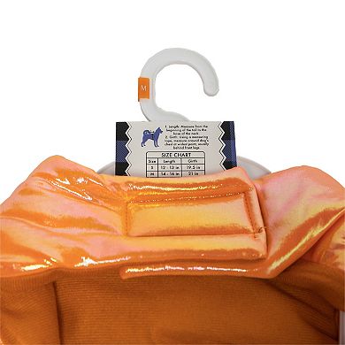 Woof Pumpkin Dog Costume