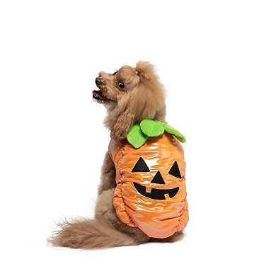 Woof Pumpkin Dog Costume