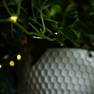 nearly natural 24-in. UV Resistant 50-Light Artificial Pothos Hanging Basket