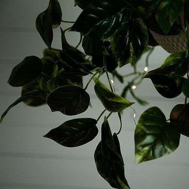 nearly natural 24-in. UV Resistant 50-Light Artificial Pothos Hanging Basket
