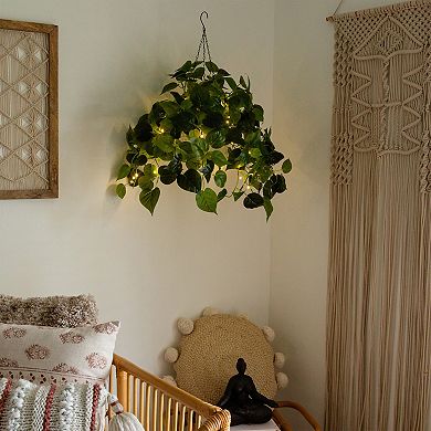 nearly natural 24-in. UV Resistant 50-Light Artificial Philodendron Plant Hanging Basket