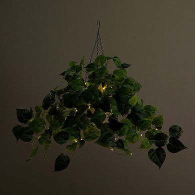 nearly natural 24-in. UV Resistant 50-Light Artificial Philodendron Plant Hanging Basket