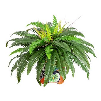nearly natural 19 in Artificial Boston Fern Planter Floor Decor