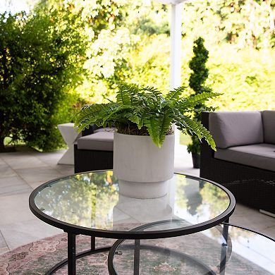 nearly natural 14-in. UV Resistant Artificial Boston Fern Pick 2-piece Set