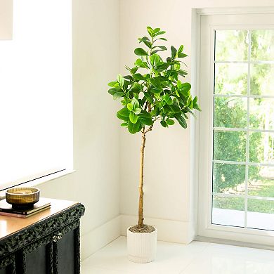 nearly natural 6-ft. Artificial Audrey Ficus Tree Floor Decor