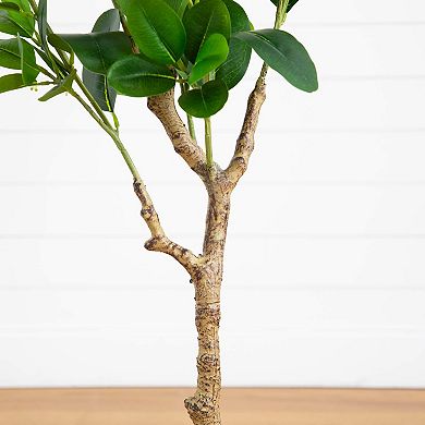 nearly natural 4-ft. Artificial Audrey Ficus Tree Floor Decor
