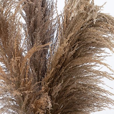 nearly natural Dried Natural Pampas Arrangement