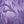 Dark Violet