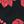 Black Red Floral