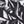 Black White Foliage