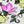 White Ditsy Floral