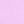 Wild Lilac