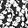 Black White Floral