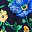 Navy Poppy Floral