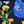 Navy Poppy Floral