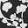 Black White Floral