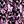 Floral Ditsy Wine