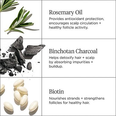 Scalp Revival Moisture + Detox + Refresh Minis Kit for Dry, Flaky Scalp