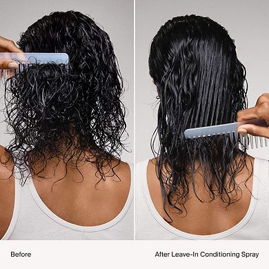 Mini Leave-In Conditioner Heat Protection Spray