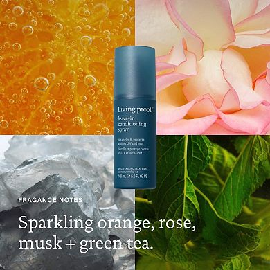 Mini Leave-In Conditioner Heat Protection Spray