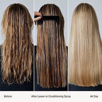 Mini Leave-In Conditioner Heat Protection Spray