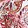 Clove Tea Rose Paisley