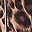 Brown Painterly