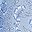 Blue Toile