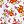 White Spring Floral