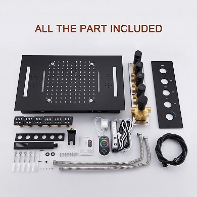 4-Spray Dual Shower Head and Handheld Shower Head Ceiling Mount with 6-Body Jets, LED, and Music