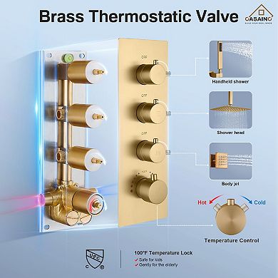Luxury Thermostatic 3-Spray 12 in. Dual Shower Head Ceiling Mount Fixed and Handheld Shower Head