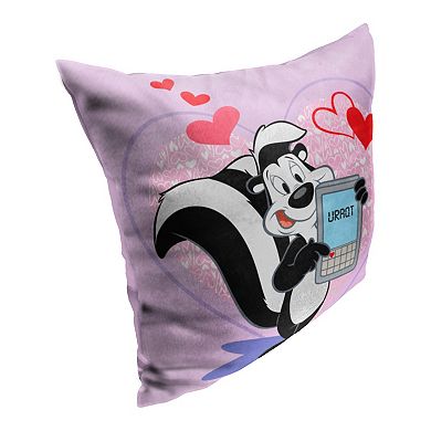 Warner Bros. Looney Tunes Urqt Printed Throw Pillow