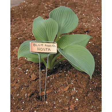 Luster Leaf Classic Impressions 10-Inch Copper Garden Plant Label with Marker (10 Pack)