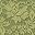 Matcha Green