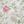 Bonnie Pink