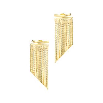 Adornia Fringe Jacket Earrings