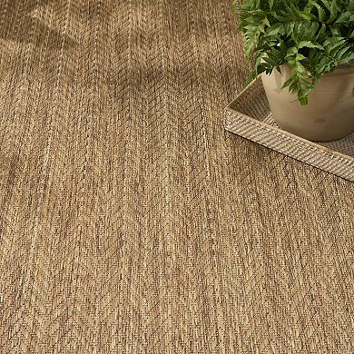 Nourison Horizon Indoor / Outdoor Chevron Area Rug