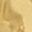 Gold Tone