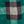 Green Check
