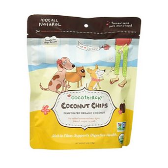 CocoTherapy CTT-0002-6 Coconut Chips (1 Pouch), 6 oz