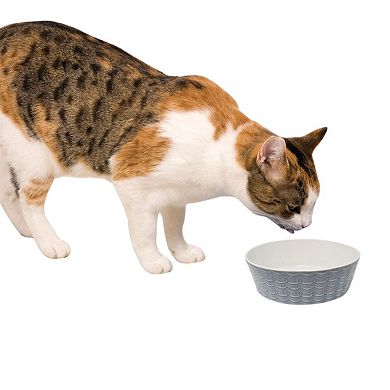 Pioneer Pet Loop Design Ceramic Bowls - (6.5" x 2")