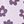 Bubble Floral Purple