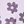 Bubble Floral Purple