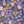 Floral Field Purple