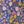 Floral Field Purple