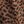 Black Brown Cheetah