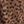 Black Brown Cheetah