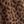 Black Brown Cheetah