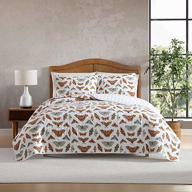 Eddie Bauer Wilford Butterfly Quilt Set