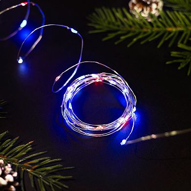 Patriotic LED Micro 17' Red White and Blue Copper Wire 50-ct. Fairy Lights